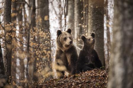 Mother and son