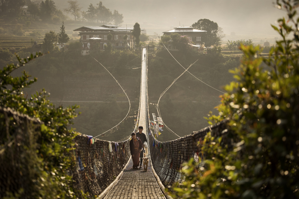 Phunakha Bridge, Bhutan od Dan Mirica