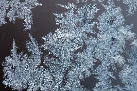 Eisblumen auf Fensterscheibe