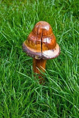 Wooden Mushroom