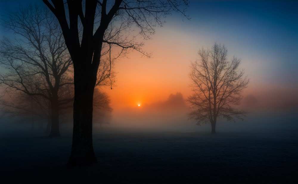 Foggy sunrise od David Dai