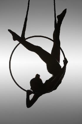 The Aerialist