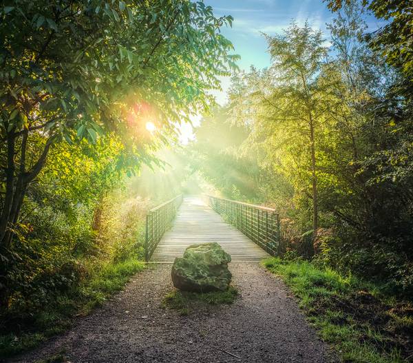 Fotografie von Morgensonne an der Lauer in Leipzig, Brücke im Nebel od Dennis Wetzel