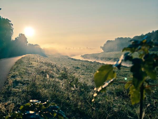 Neue Luppe im Morgennebel, am Auensee Leipzig, Bild 1 od Dennis Wetzel