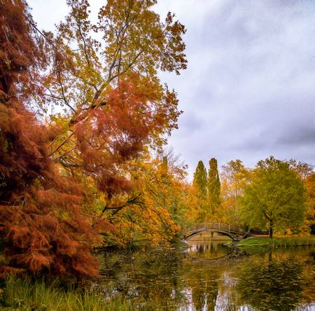 Bunter Herbst Johannapark leipzig.jpg (17695 KB) 