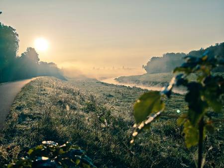 Neue Luppe im Morgennebel, am Auensee Leipzig, Bild 1