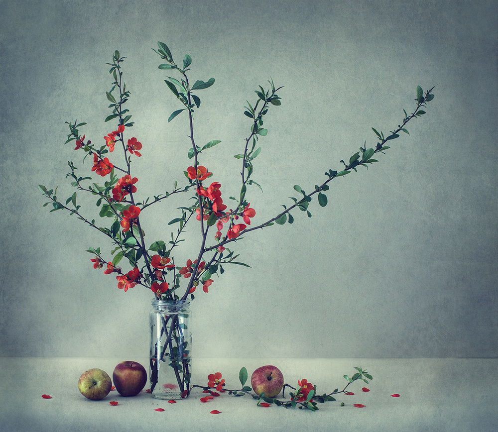 Still life with a Japanese quince od Dimitar Lazarov - Dim