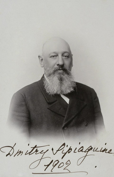 Portrait of Dmitry Sergeyevich Sipyagin (1853-1902) od Dimitrij Grigorjewitsch Lewizkij