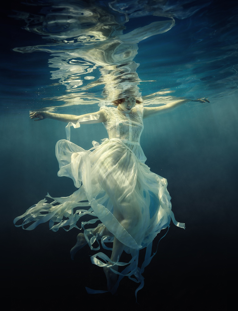 Jellyfish od Dmitry Laudin