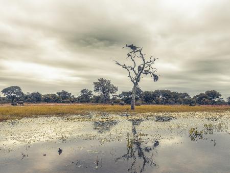 Moody day in Africa