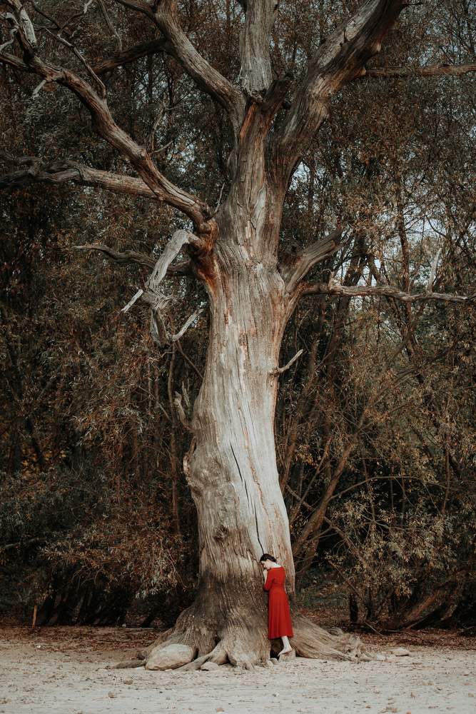 girl in a red dress od Dorota Górecka