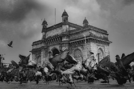 Majestic gateway of India