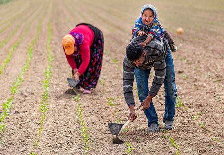 seasonal workers