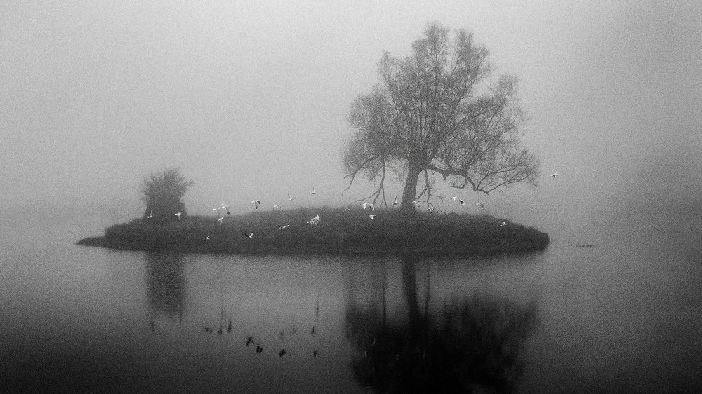 A little island in the fog od Dusan Vukovic