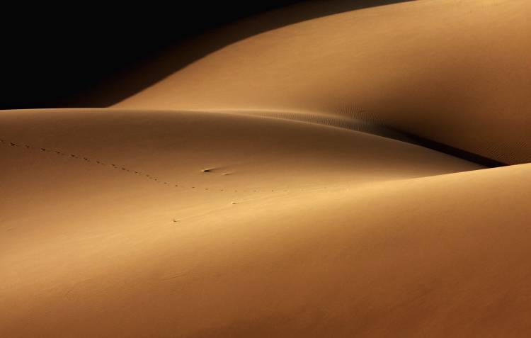 Desert and the human torso od Ebrahim Bakhtari bonab