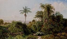 Cuban landscape. od Edmund Darch Lewis