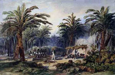 The Fabrication of Palm Oil at Whydah, West Coast of Africa od Edouard Auguste Nousveaux
