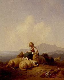 Girl with sheep