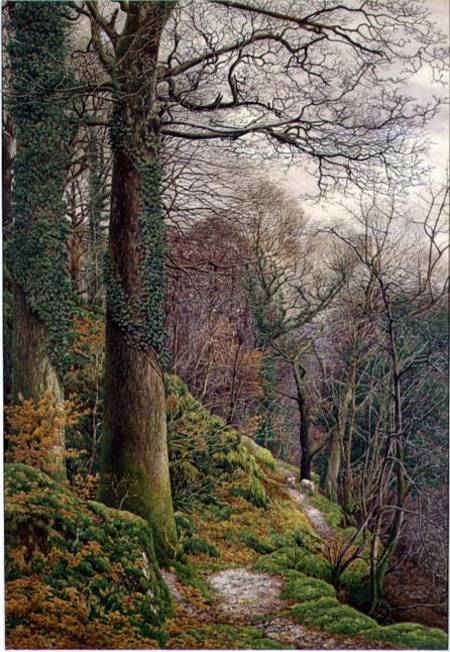 A Path in the Wood od Edward Bentley