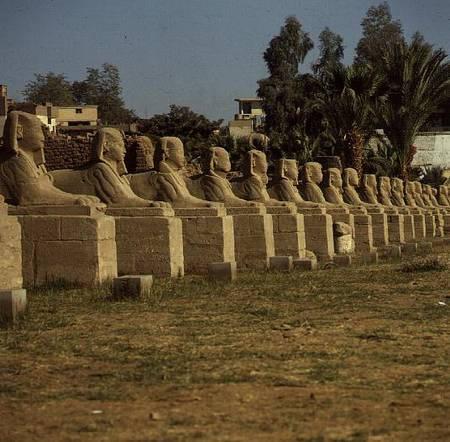Avenue of Sphinxes, added by Nectanebo I (380-362 BC) Late Period od Egyptian