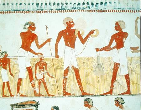 Measuring the land using rope, from the Tomb Chapel of Menna, New Kingdom od Egyptian