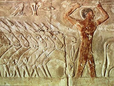 Troup of donkeys, from the Mastaba of Mereruka, Old Kingdom od Egyptian