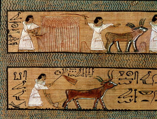 Reaping and ploughing, detail from a depiction of farming activities in the afterlife, from the Book od Egyptian 19th Dynasty