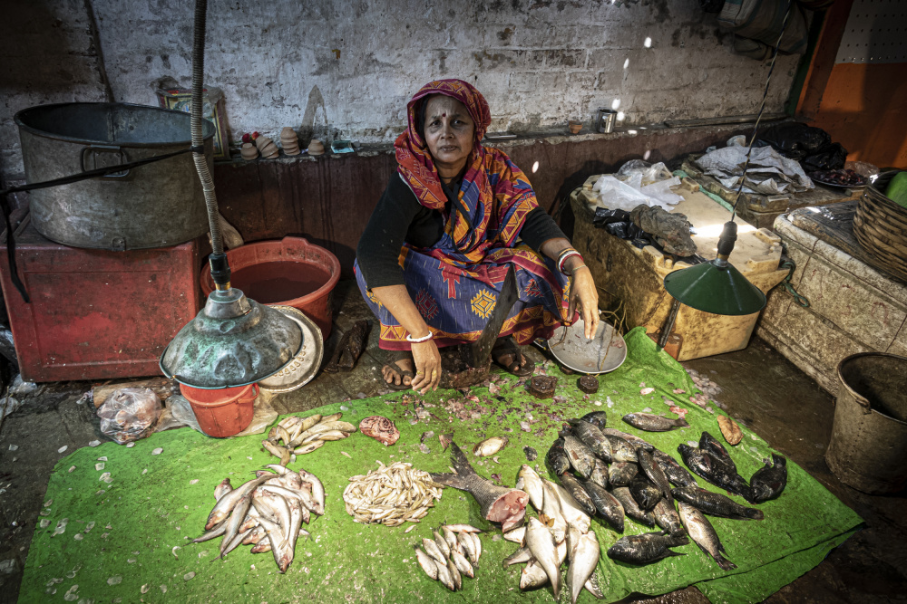 Fish market at Kumartuli, Kolkata od Elena Molina