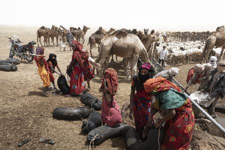 so much activity around the well at Borkou desert, Tchad