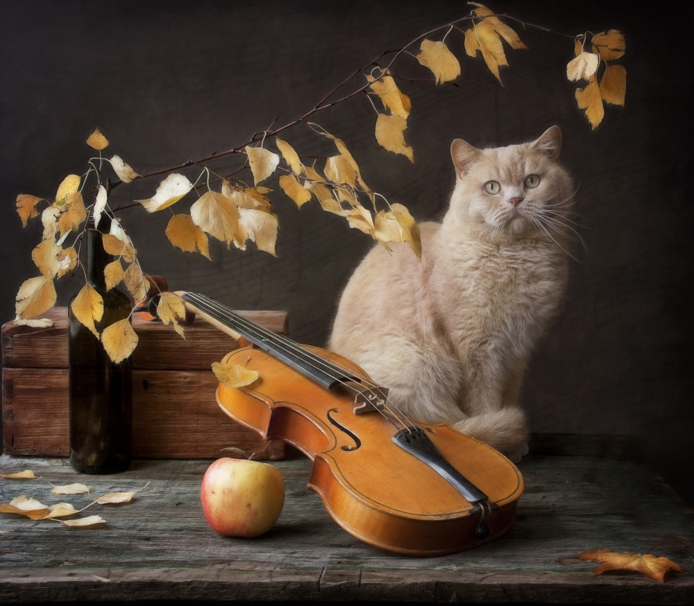 Autumn Melody for  Сat  and violin od Eleonora Grigorjeva