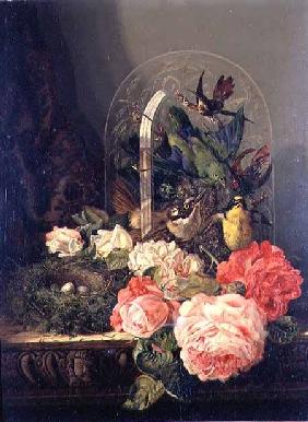 Still life of birds, flowers and a bird's nest on a table