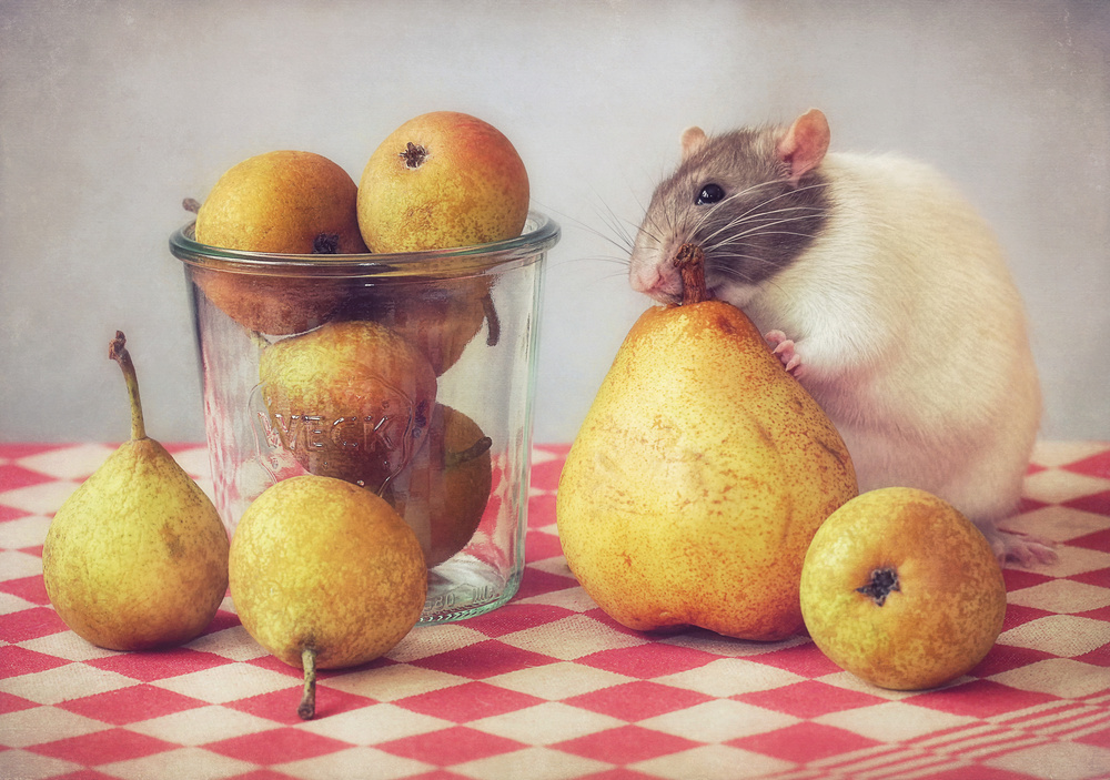 Pears od Ellen Van Deelen