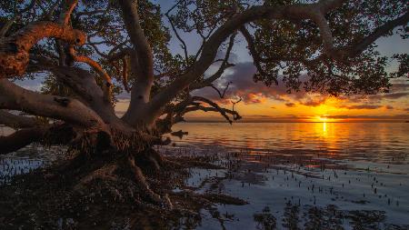 Sunrise at Nudgee Beach