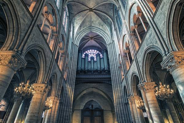 Inside Notre-Dame od emmanuel charlat