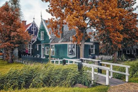 Autumn In Zaanse Schans 