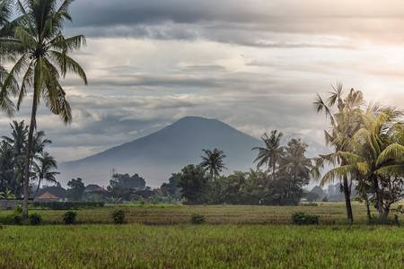 Bali Landscape