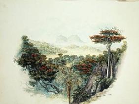 The Mountains, Ceylon  on