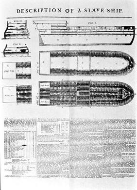 Description of a Slave Ship, 1789 (print)