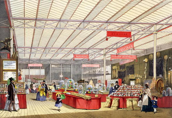 Colonial Produce in the Great Exhibition of 1851, from Dickinson's Comprehensive Pictures (coloured od English School, (19th century)