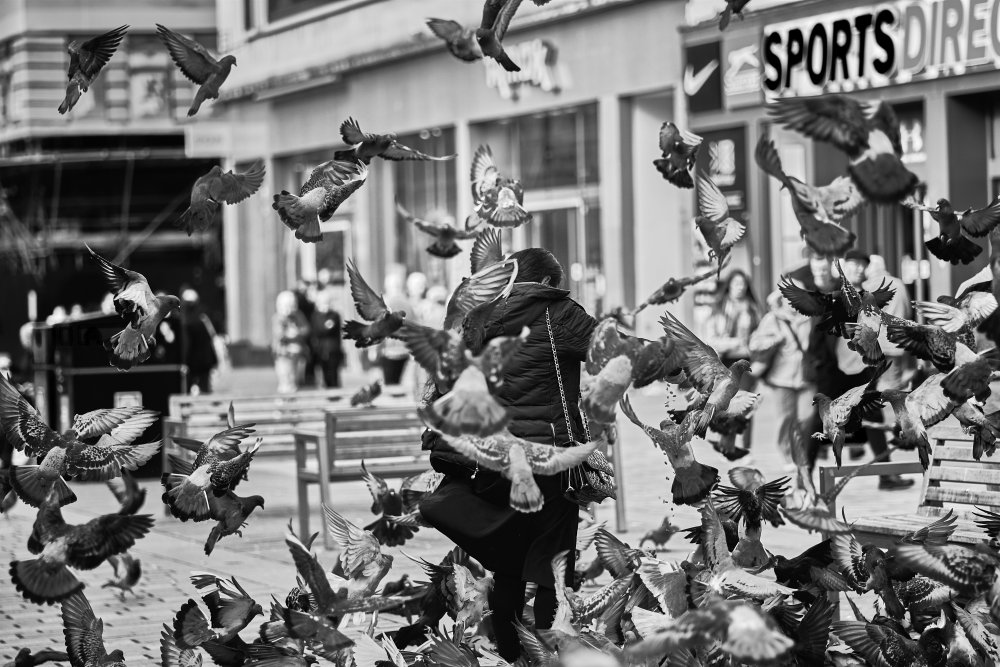Feeding the pigeons od Enrico Zabeo