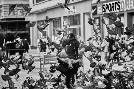 Feeding the pigeons