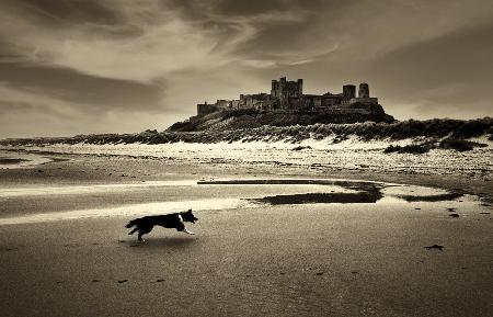 Bamburgh castle