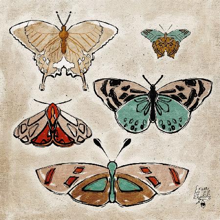 Vintage Butterflies Erum Khalili.png