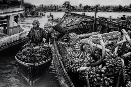 Harvest Transaction