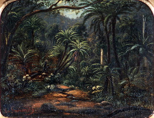Ferntree Gully in the Dandenong Ranges, 1857 (oil on canvas on cedar panel) od Eugene von Guerard