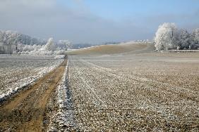 Winterspaziergang