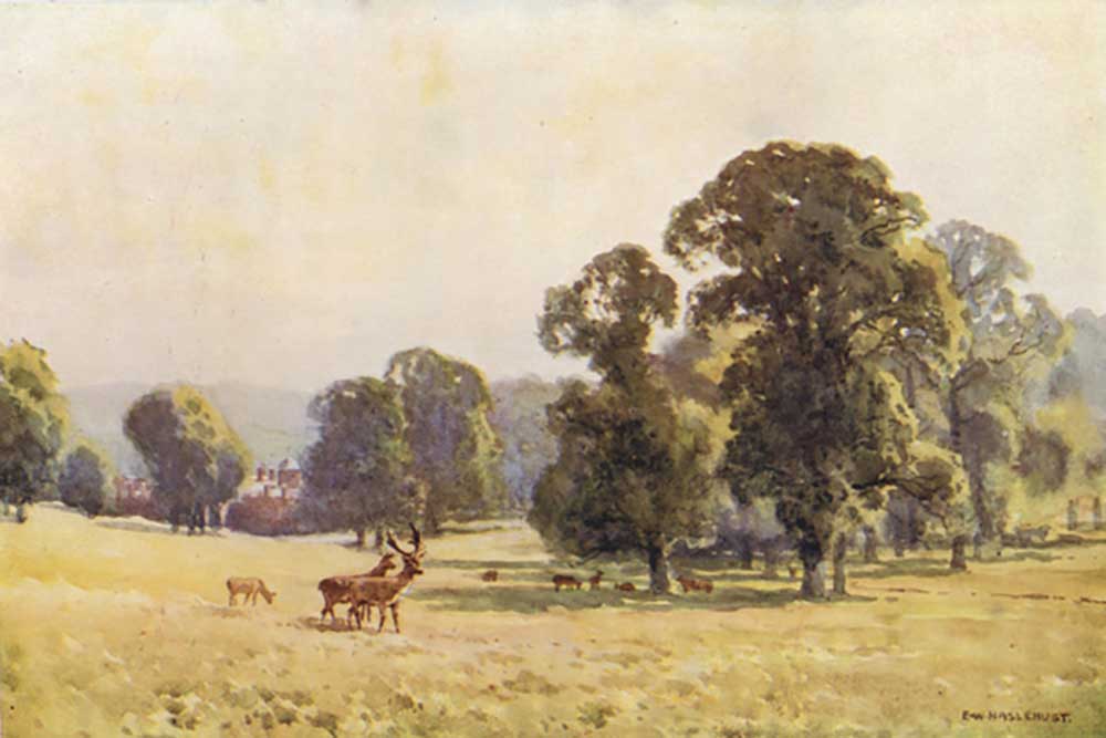 Cobham Park od E.W. Haslehust