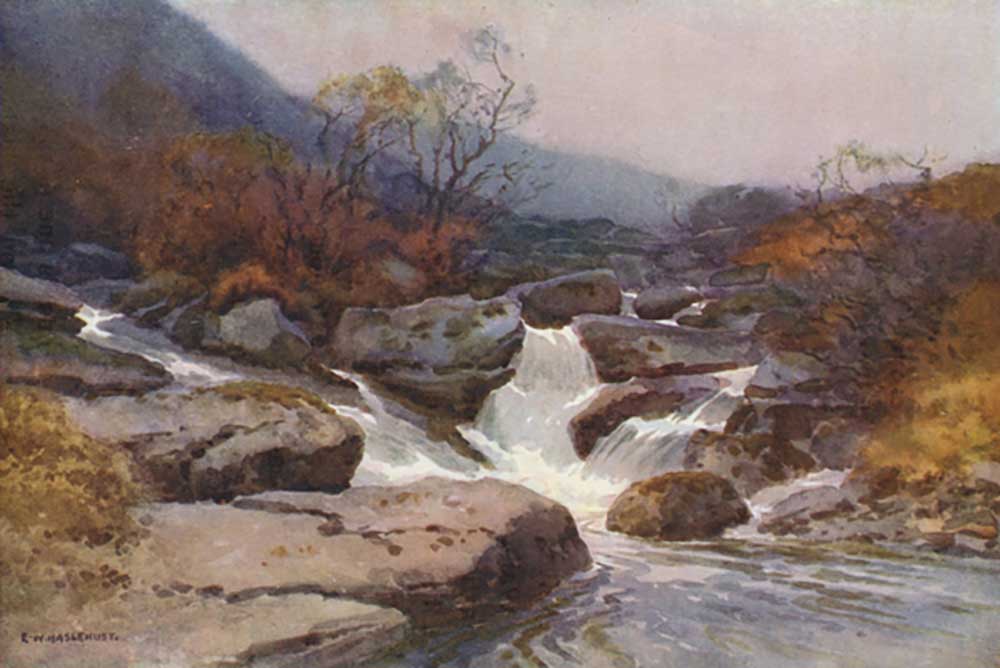 A Dartmoor Stream od E.W. Haslehust