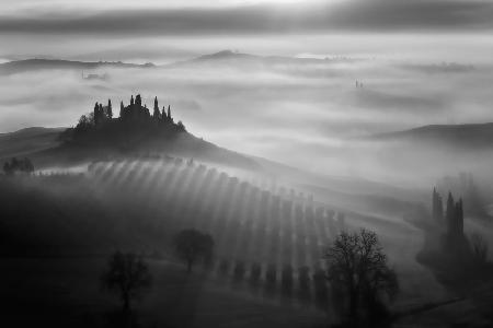 Tuscany fog