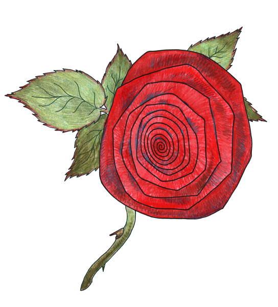 Rose 7 od Faisal Khouja